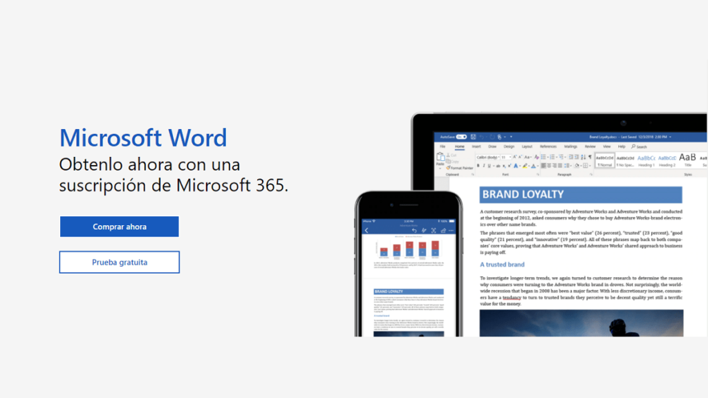 Microsoft Word