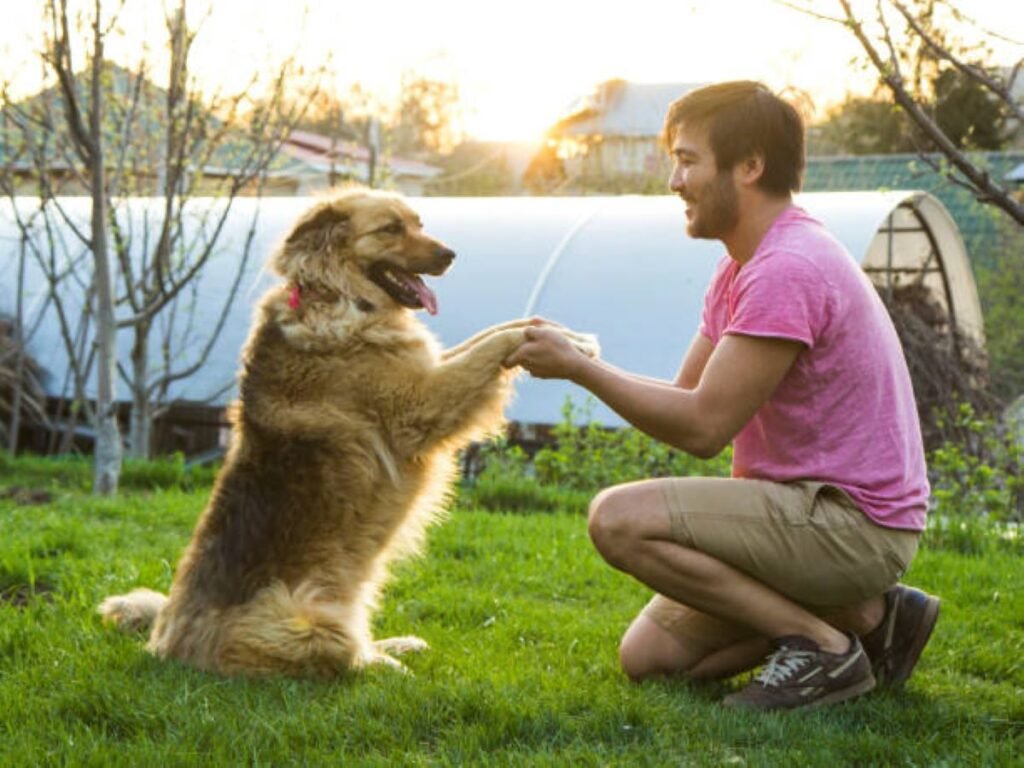 El Ayto de Parla enseña a los propietarios de perros conductas para mejorar su comportamiento y conducta