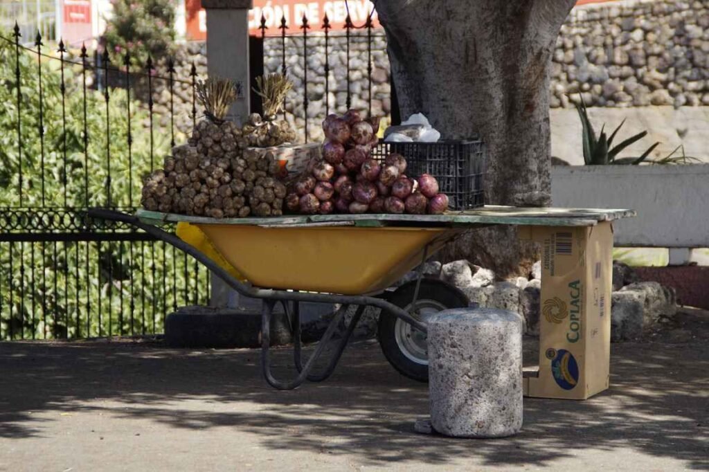 Parla regula la venta ambulante con nueva ordenanza municipal.