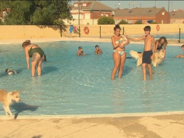 La Comunidad de Madrid prohíbe la actividad de baño con perros en la piscina municipal de Parla